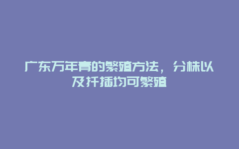 广东万年青的繁殖方法，分株以及扦插均可繁殖