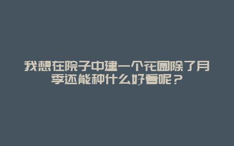 我想在院子中建一个花圃除了月季还能种什么好看呢？