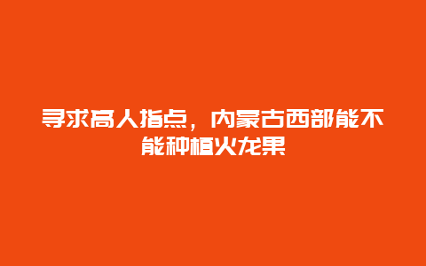 寻求高人指点，内蒙古西部能不能种植火龙果