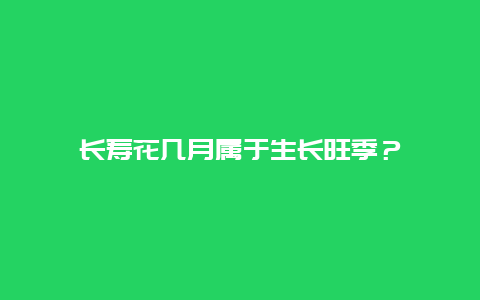 长寿花几月属于生长旺季？