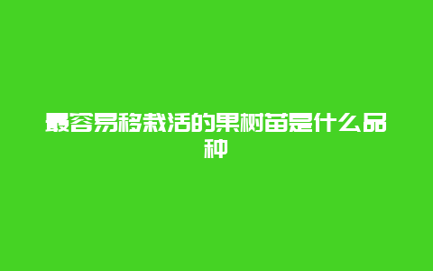 最容易移栽活的果树苗是什么品种