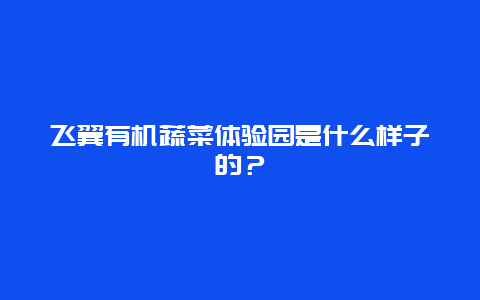 飞翼有机蔬菜体验园是什么样子的？