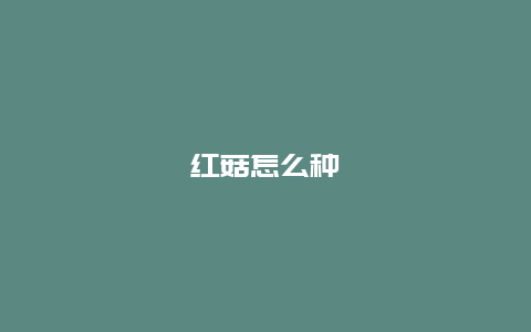 红菇怎么种