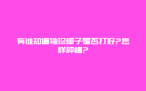 有谁知道袖珍椰子是否打籽?怎样种植?