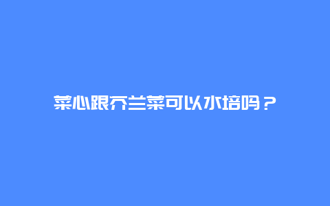 菜心跟芥兰菜可以水培吗？