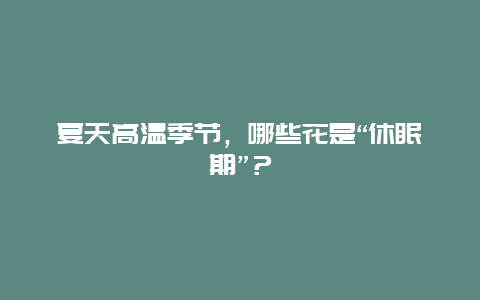 夏天高温季节，哪些花是“休眠期”？