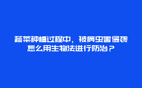 蔬菜种植过程中，被病虫害侵袭怎么用生物法进行防治？