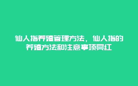 仙人指养殖管理方法，仙人指的养殖方法和注意事项亮红