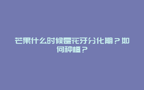 芒果什么时候是花牙分化期？如何种植？