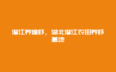 潜江养殖虾，湖北潜江农田养虾基地