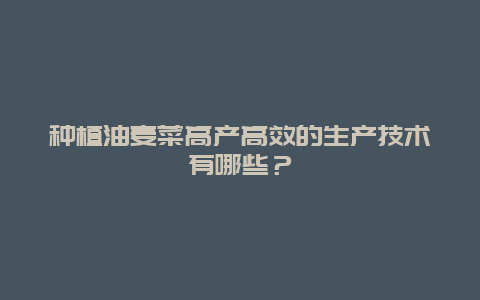 种植油麦菜高产高效的生产技术有哪些？