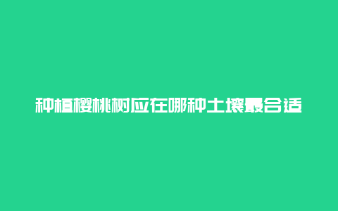 种植樱桃树应在哪种土壤最合适