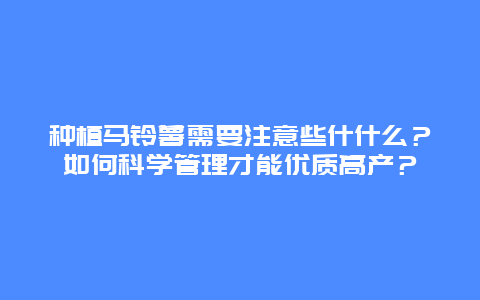 种植马铃薯需要注意些什什么？如何科学管理才能优质高产？