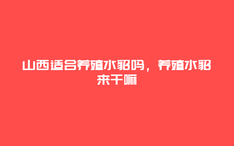 山西适合养殖水貂吗，养殖水貂来干嘛