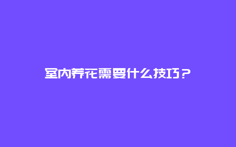 室内养花需要什么技巧？