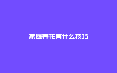 家庭养花有什么技巧