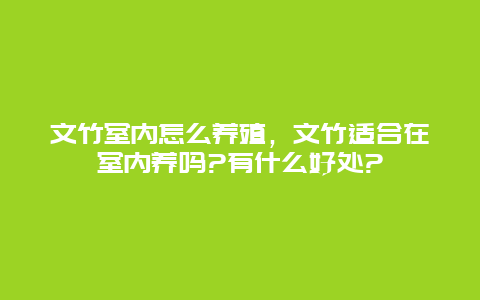 文竹室内怎么养殖，文竹适合在室内养吗?有什么好处?