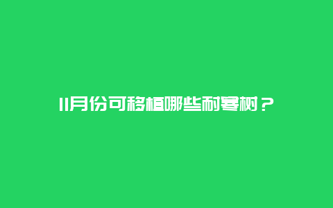 11月份可移植哪些耐寒树？