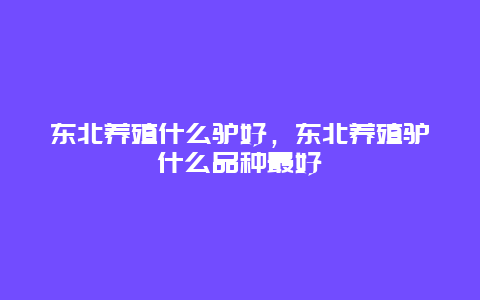 东北养殖什么驴好，东北养殖驴什么品种最好