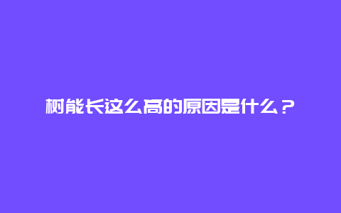 树能长这么高的原因是什么？