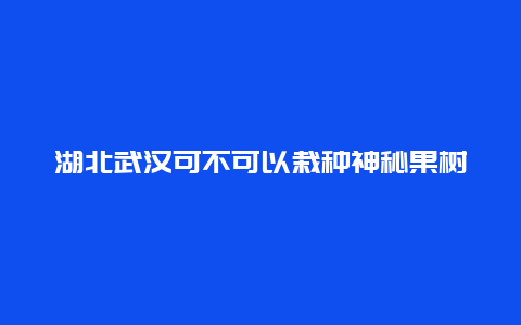 湖北武汉可不可以栽种神秘果树