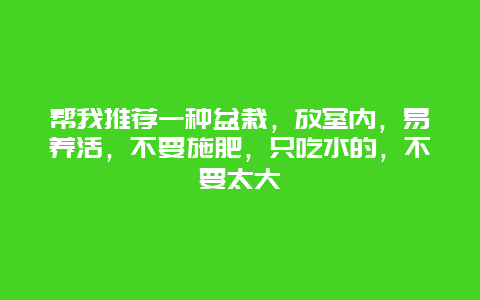 帮我推荐一种盆栽，放室内，易养活，不要施肥，只吃水的，不要太大