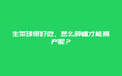 生菜球很好吃，怎么种植才能高产呢？