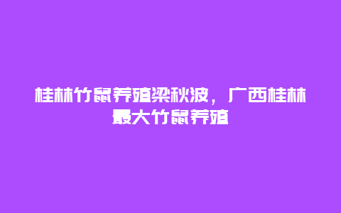 桂林竹鼠养殖梁秋波，广西桂林最大竹鼠养殖