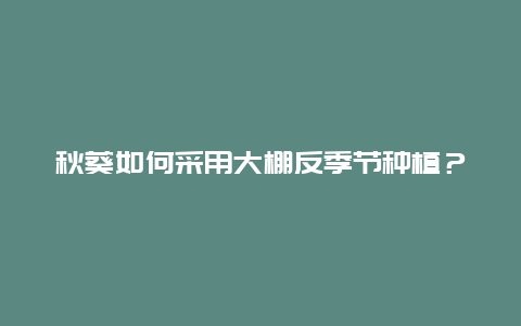 秋葵如何采用大棚反季节种植？