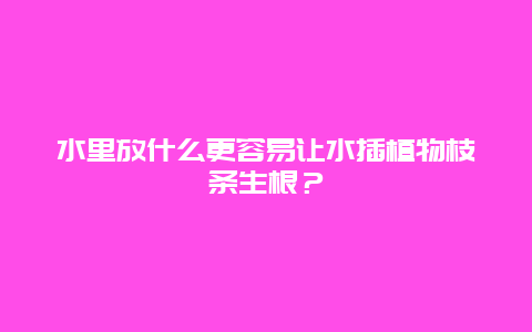 水里放什么更容易让水插植物枝条生根？