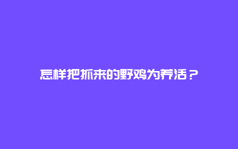 怎样把抓来的野鸡为养活？