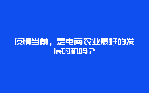 疫情当前，是电商农业最好的发展时机吗？