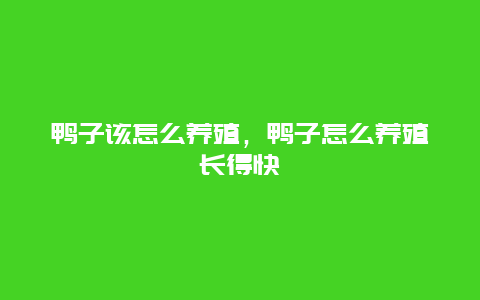 鸭子该怎么养殖，鸭子怎么养殖长得快