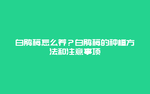 白鹃梅怎么养？白鹃梅的种植方法和注意事项