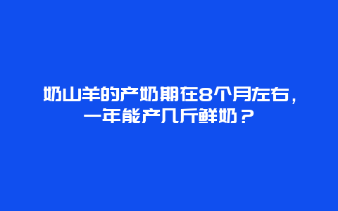 奶山羊的产奶期在8个月左右，一年能产几斤鲜奶？