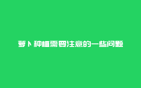 萝卜种植需要注意的一些问题