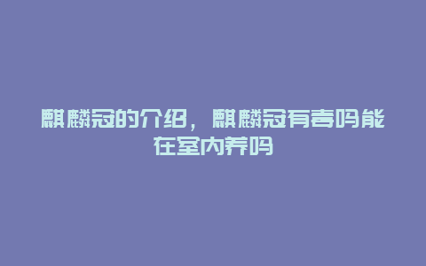 麒麟冠的介绍，麒麟冠有毒吗能在室内养吗