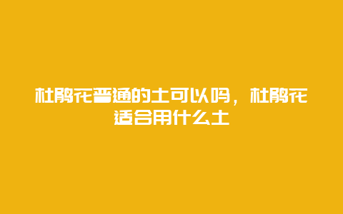 杜鹃花普通的土可以吗，杜鹃花适合用什么土