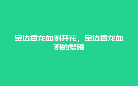 金边香龙血树开花，金边香龙血树的繁殖