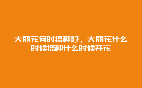 大丽花何时播种好，大丽花什么时候播种什么时候开花