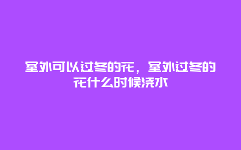 室外可以过冬的花，室外过冬的花什么时候浇水