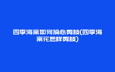 四季海棠如何摘心剪枝(四季海棠花怎样剪枝)