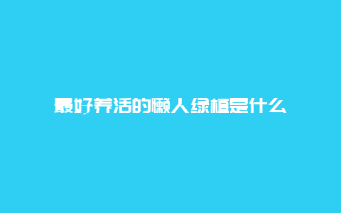 最好养活的懒人绿植是什么