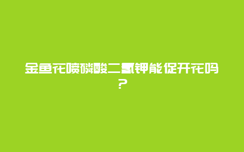 金鱼花喷磷酸二氢钾能促开花吗？