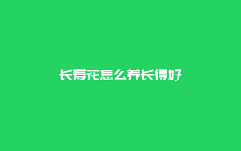 长寿花怎么养长得好