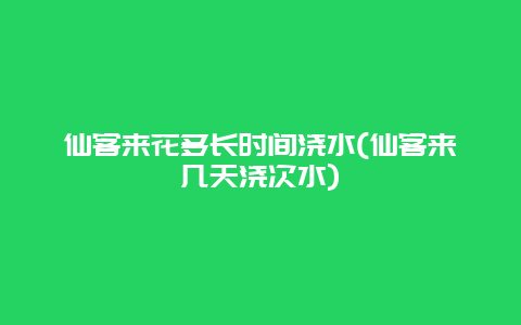 仙客来花多长时间浇水(仙客来几天浇次水)