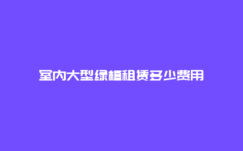 室内大型绿植租赁多少费用