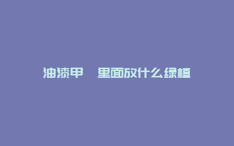 油漆甲醛里面放什么绿植