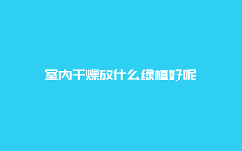 室内干燥放什么绿植好呢