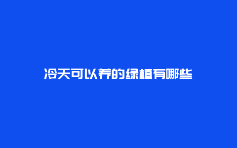 冷天可以养的绿植有哪些